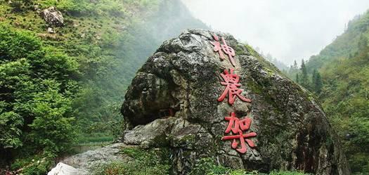 找“好友代购”,58200元打水漂?